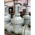 DIN Casting Dn450 Pn64 Gate Valve (Z41H-DN450-64C)